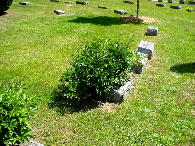 View of Flora, Fred, Katherine, Roy, and Leon Markers