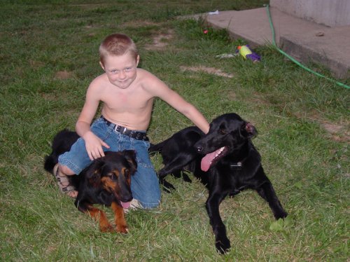 Jake and pups 2003 pic 3.JPG